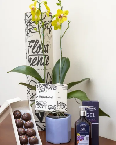 Orquídeas con trufas para regalar