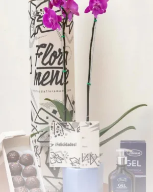 Orquídea  una vara + trufas x6